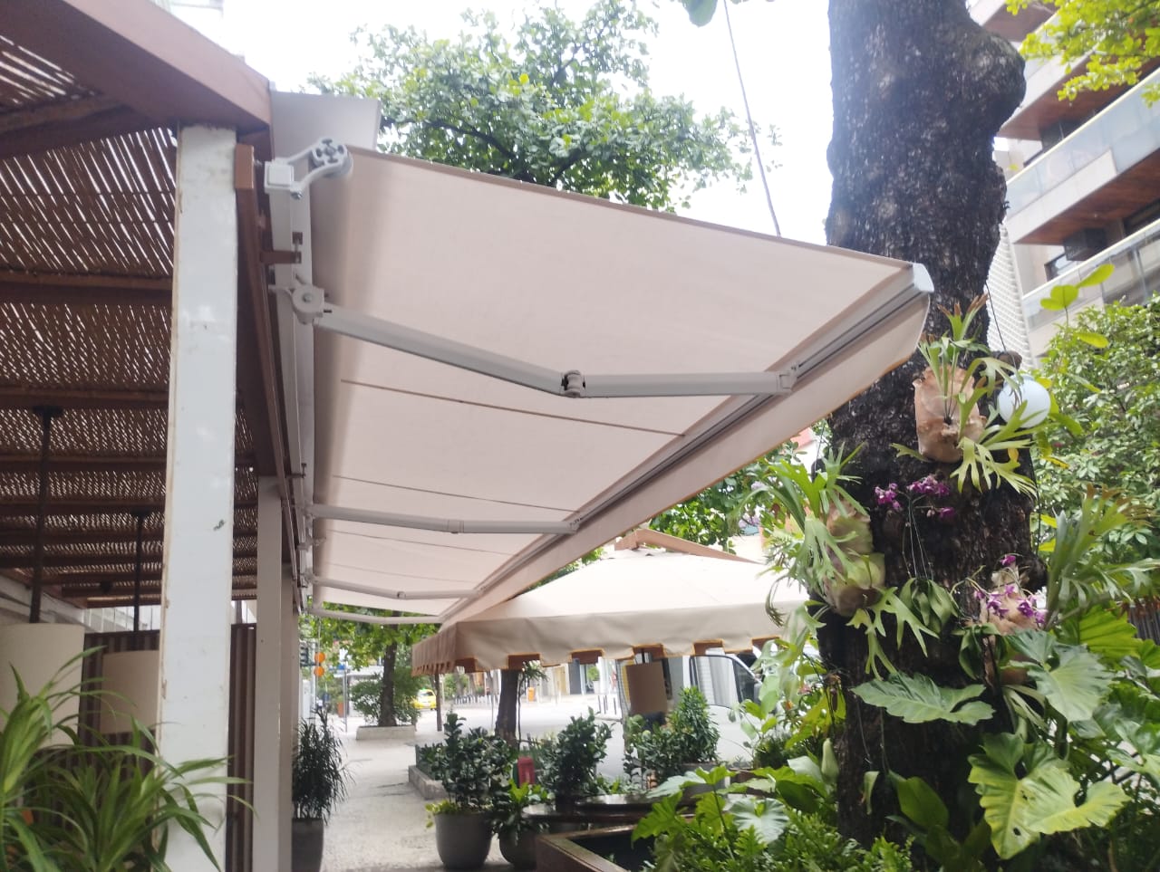 WhatsApp Image 2025-12-16 at 11.29.14.jpeg